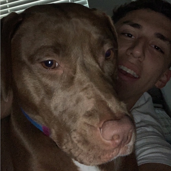 alexvelazquez_